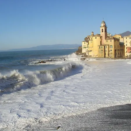 Hotel Casmona 3*